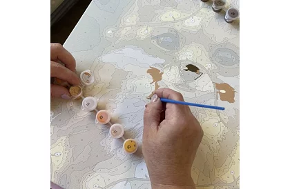 Malování podle čísel - liška - 40x50 cm