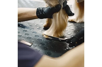 Sada na úpravu a stříhání psů v pouzdru