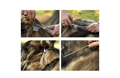 Sada na úpravu a stříhání psů v pouzdru