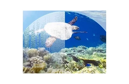 Šnorchlovací celoobličejová maska - velikost S/M