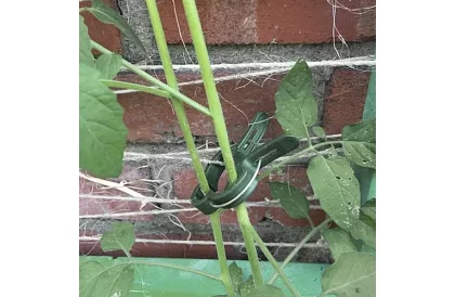 Klipy na upevňování rostlin 108 ks