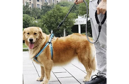 Vodítko pro psa silné s reflexními prvky – 3 m