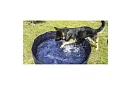 Skládací bazén pro psy – 120 × 30 cm