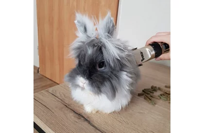 Zastřihovač na domácí mazlíčky + příslušenství