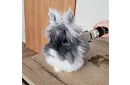 Zastřihovač na domácí mazlíčky + příslušenství