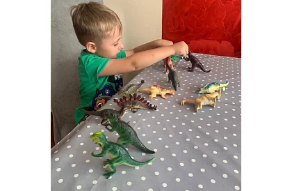 Sada zvířatek 12 dinosaurů